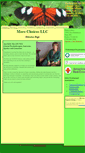 Mobile Screenshot of morechoicesllc.com